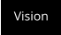 Vision